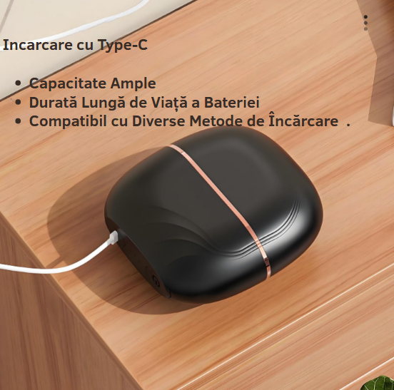 Perie de Îndreptat Părul Portabilă