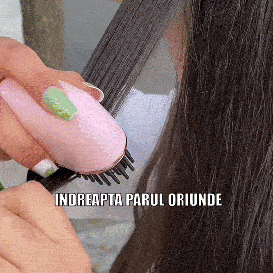 Perie de Îndreptat Părul Portabilă